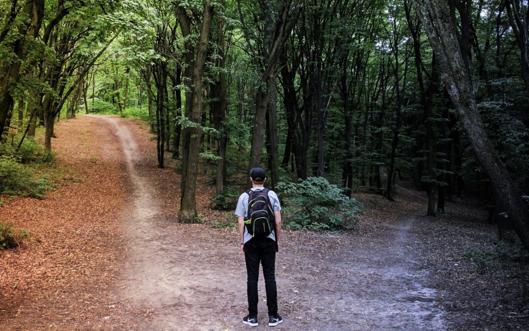 A man stands at a fork in the road with one path leading to a path lit by sunshine and the other in darkness