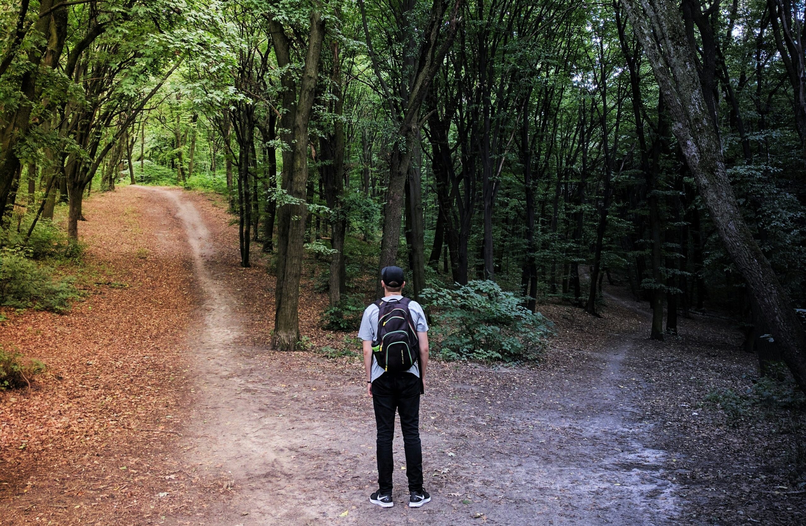 A man stands at a fork in the road with one path leading to a path lit by sunshine and the other in darkness